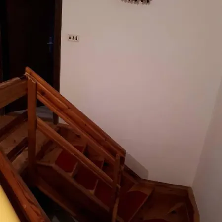 Oaza Mira *
